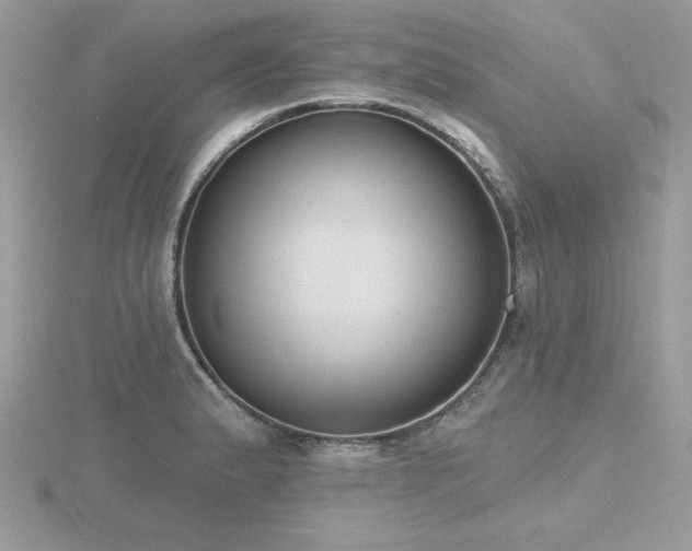 X0000116511183200912091442