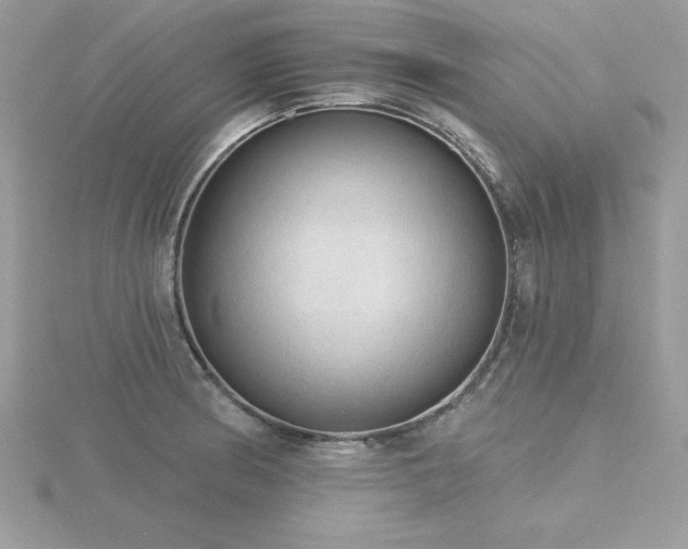 X0000116511186200912091442