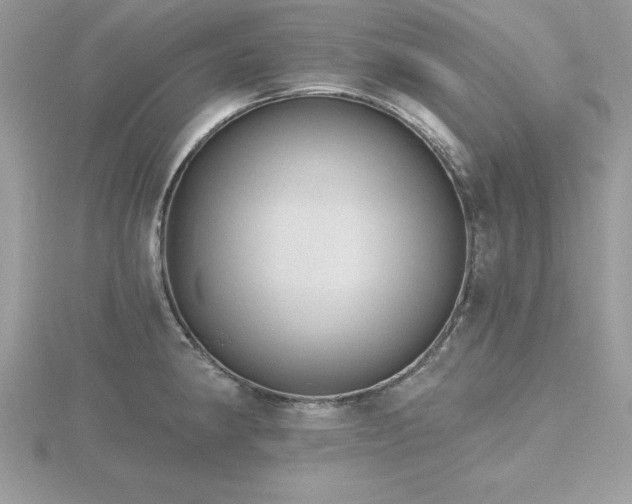 X0000116511190200912091442
