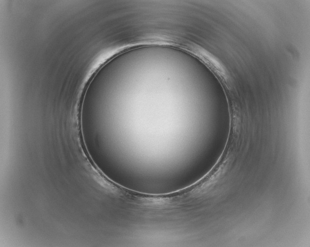 X0000116511192200912091442