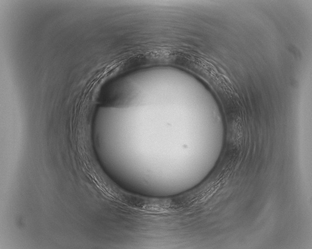 X0000116511201200912091441
