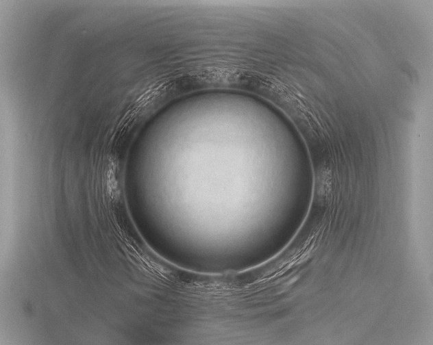 X0000116511202200912091441
