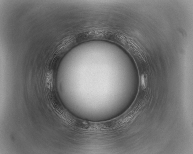 X0000116511203200912091441