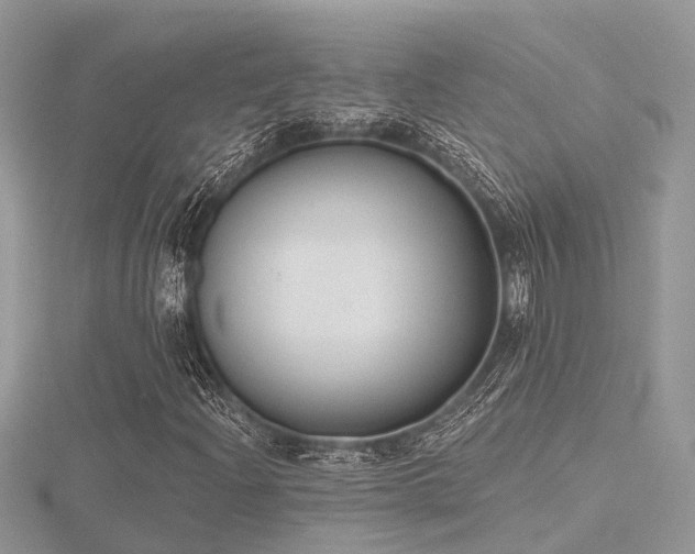 X0000116511204200912091441