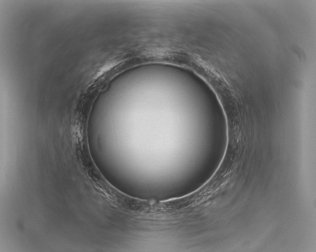 X0000116511206200912091441