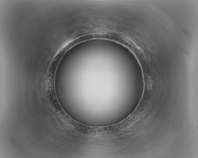 X0000116511208200912091441