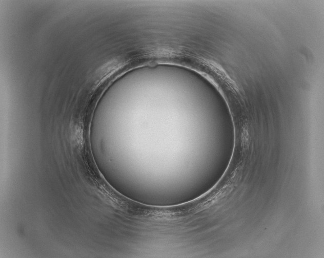 X0000116511209200912091441