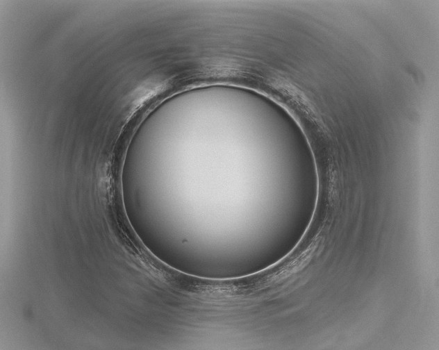 X0000116511210200912091441