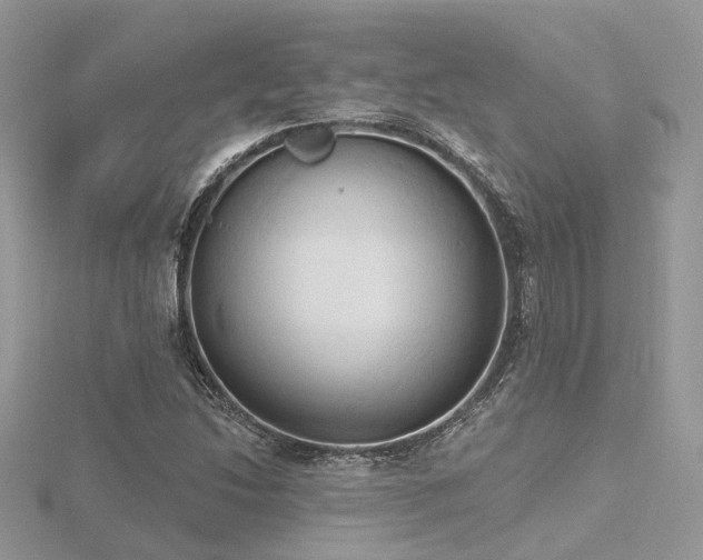 X0000116511214200912091441