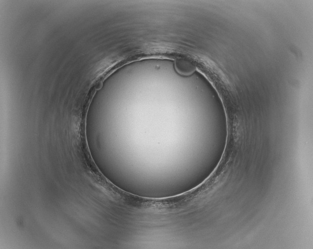 X0000116511217200912091441