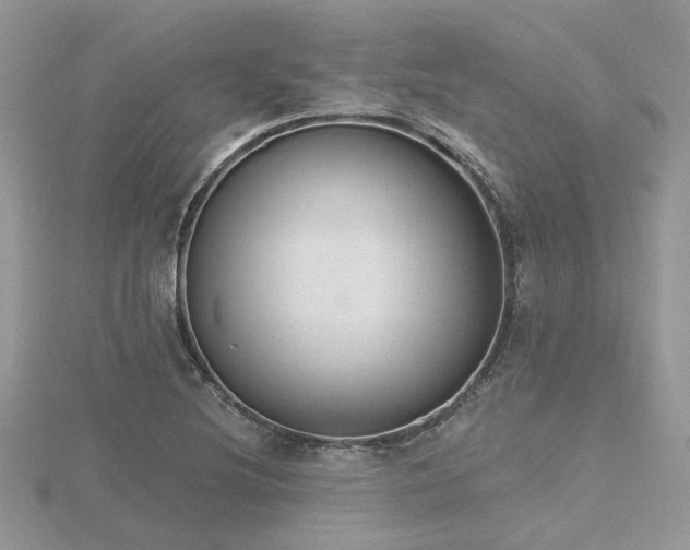 X0000116511220200912091441