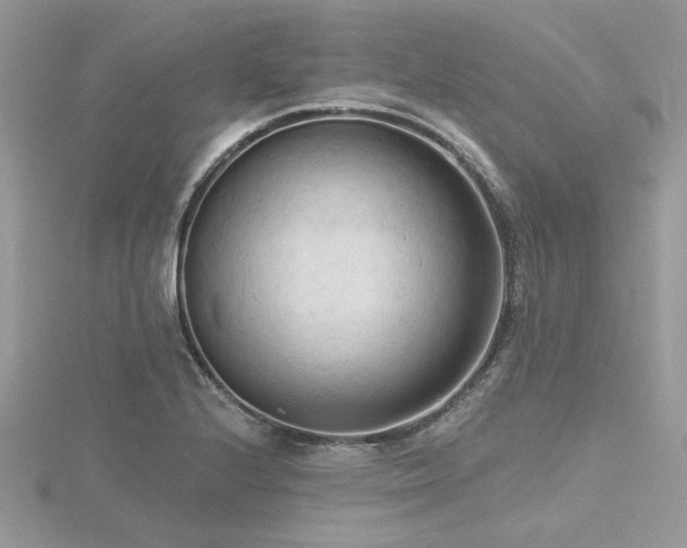 X0000116511224200912091441