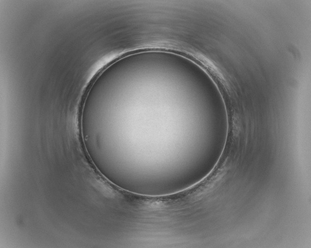 X0000116511230200912091442