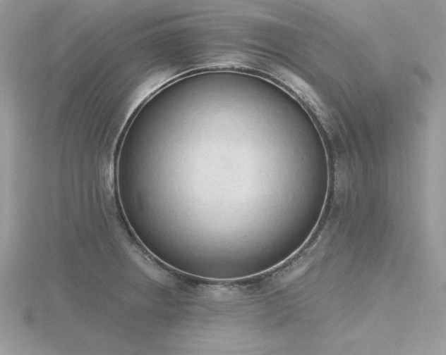 X0000116511234200912091442