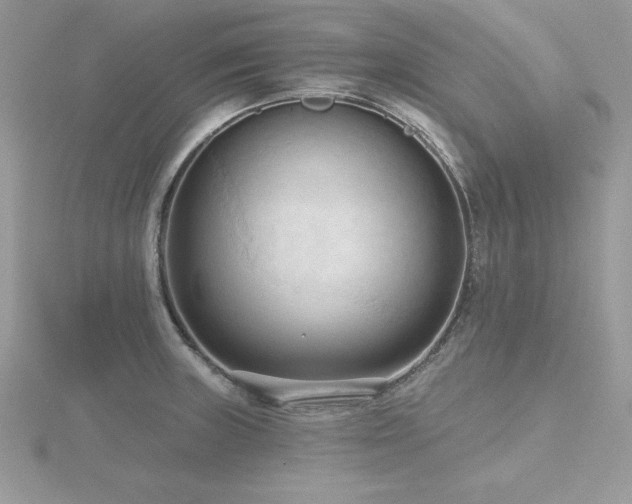 X0000116511235200912091442