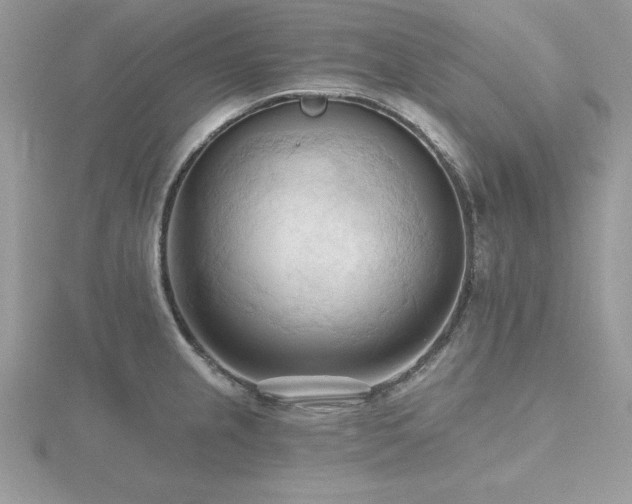 X0000116511237200912091442