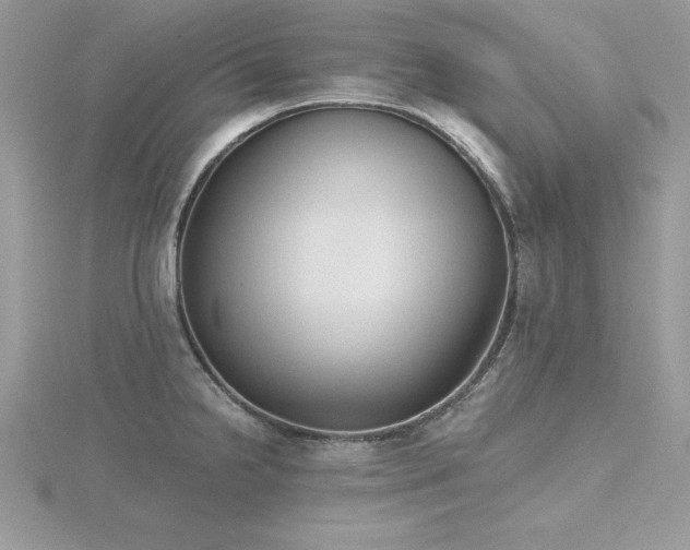 X0000116511238200912091442