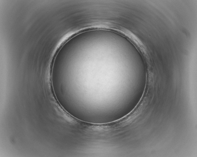 X0000116511240200912091442