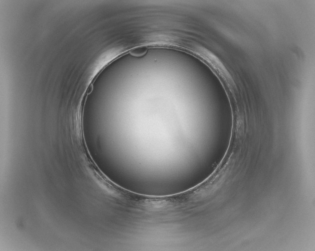 X0000116511242200912091442