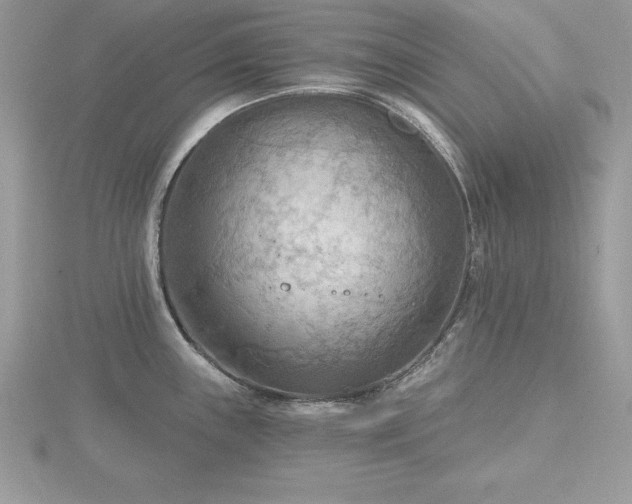 X0000116511243200912091442