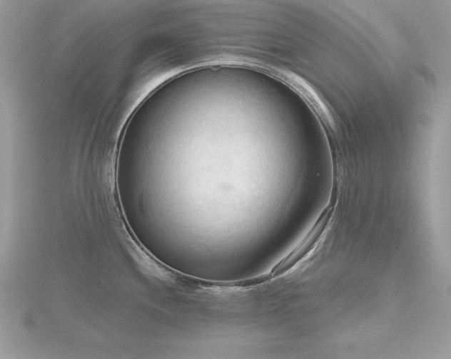 X0000116511244200912091442