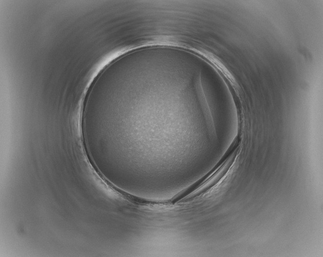 X0000116511246200912091442