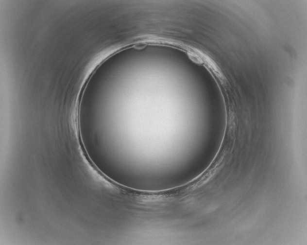 X0000116511247200912091442