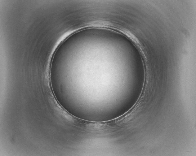 X0000116511248200912091442