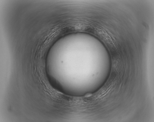 X0000116511249200912091441