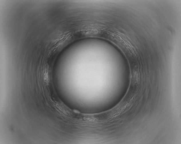 X0000116511250200912091441