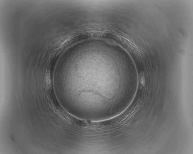 X0000116511252200912091441