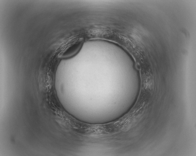 X0000116511253200912091441