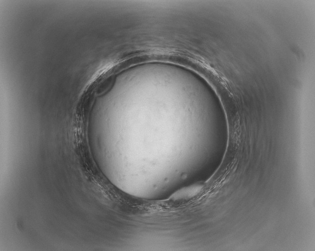 X0000116511255200912091441