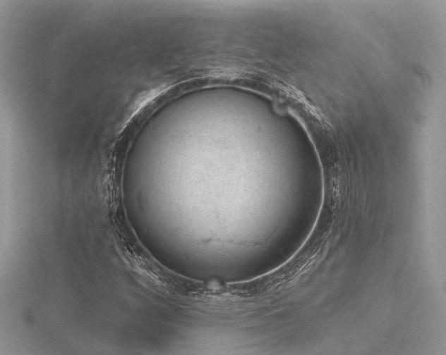 X0000116511256200912091441