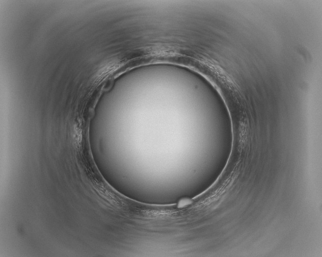 X0000116511257200912091441