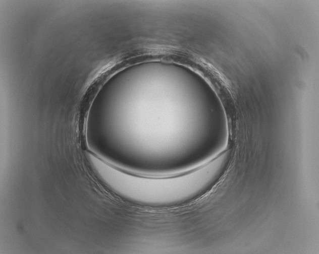 X0000116511261200912091441