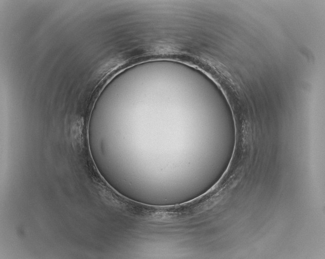 X0000116511265200912091441