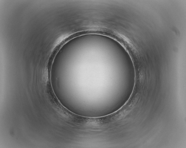 X0000116511267200912091441