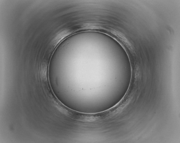 X0000116511273200912091441