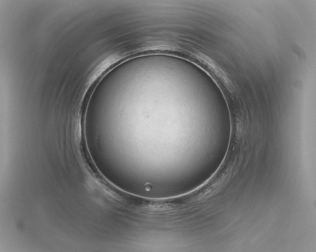X0000116511274200912091441