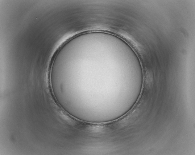 X0000116511278200912091441