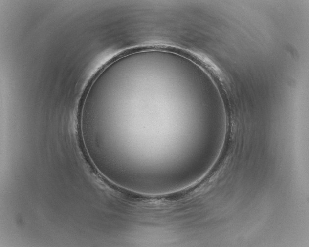 X0000116511279200912091441