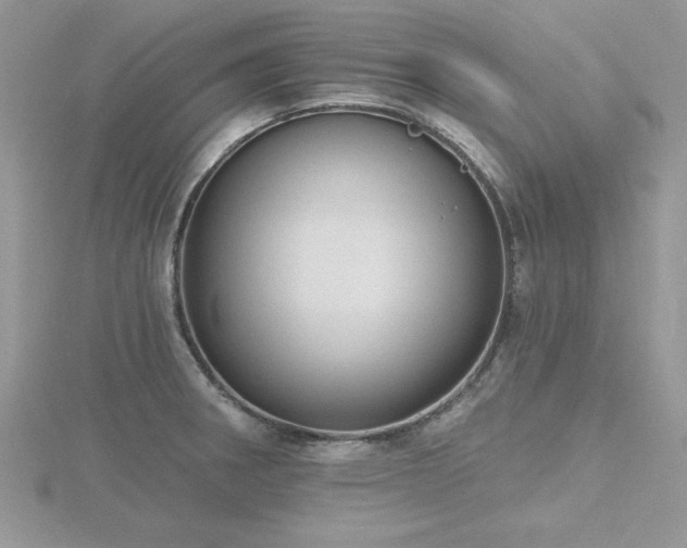 X0000116511282200912091441