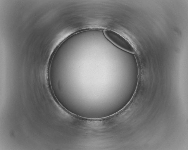 X0000116511285200912091441
