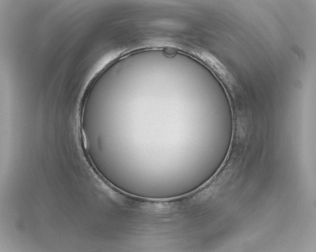 X0000116511286200912091441