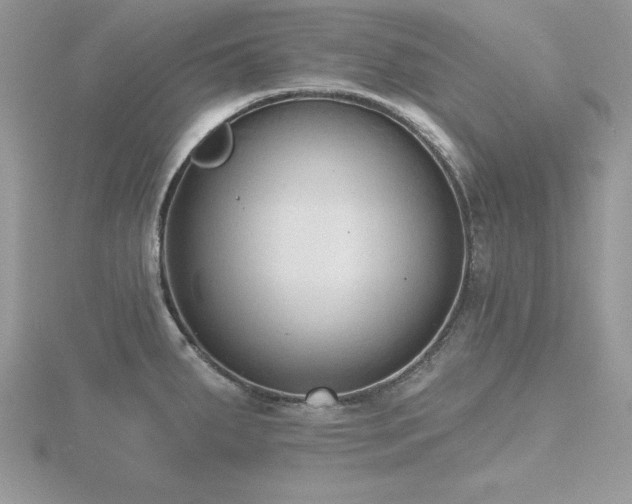 X0000116511287200912091441