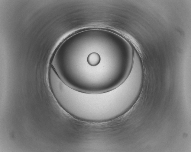 X0000116511288200912091441