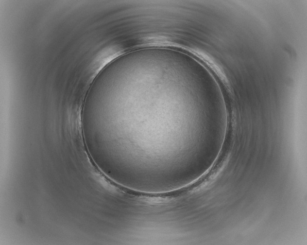 X0000116511289200912091441