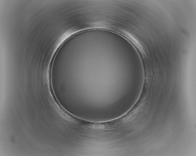 X0000116511291200912091441