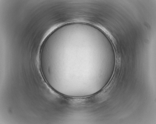 X0000116511294200912091441